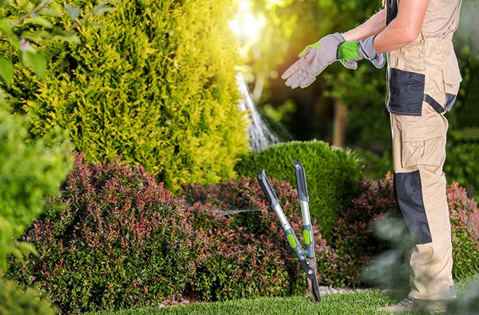 landscaping services in the gta